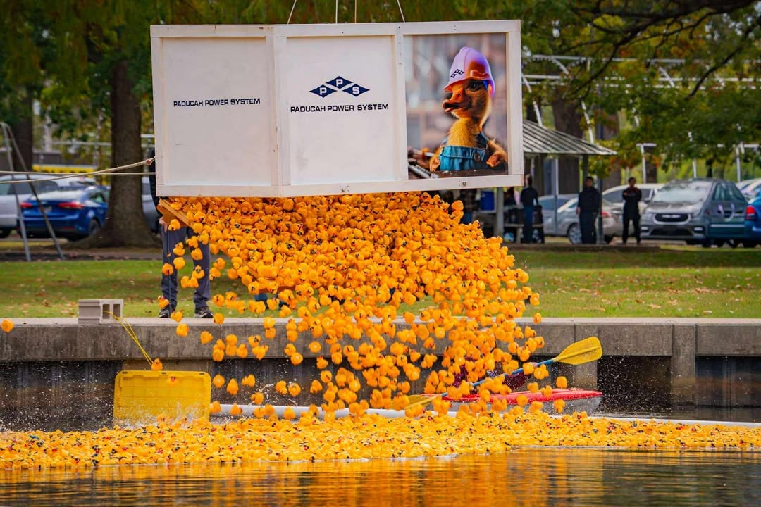 Give a duck its big day