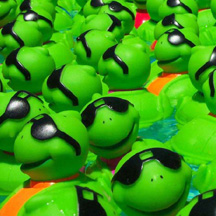 Send someone a turtle