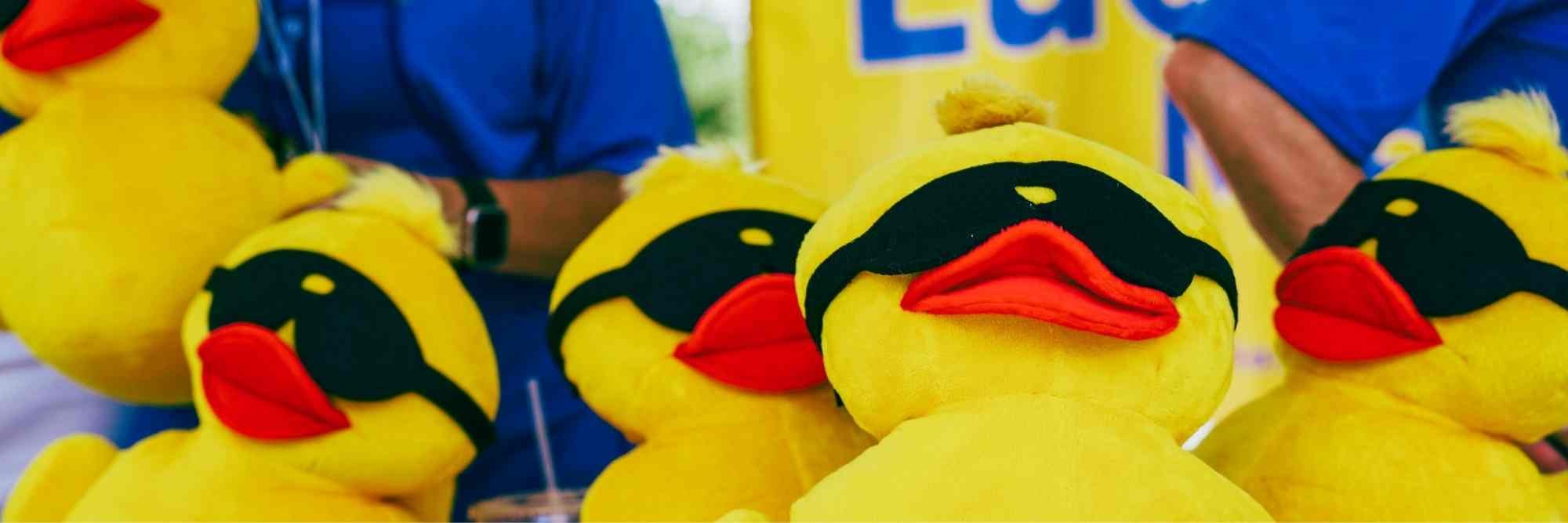 Send someone a duck