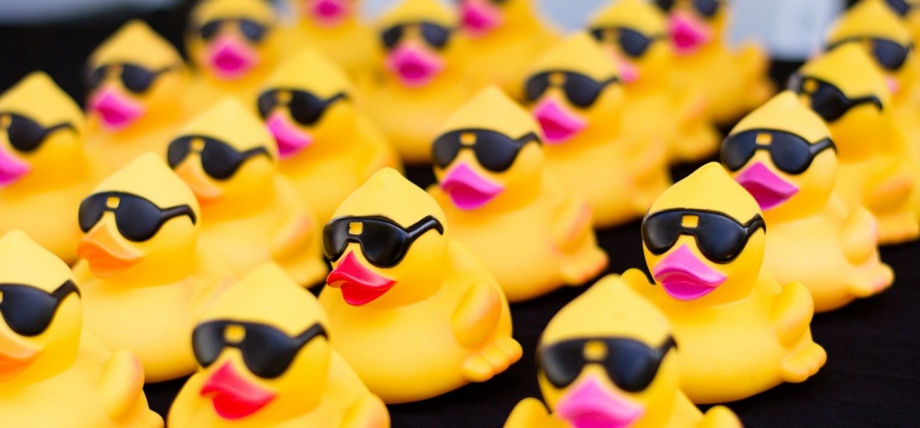 Rows of yellow rubber ducks wearing black sunglasses
