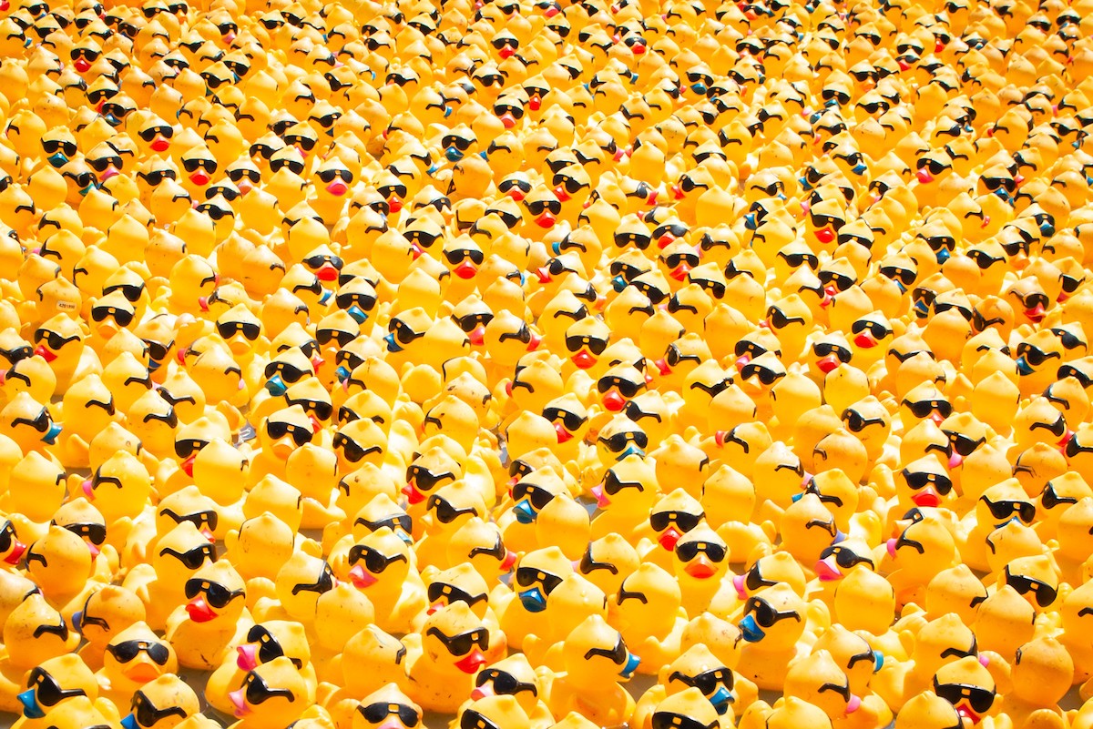 Thousands of yellow rubber ducks in sunglasses packed together
